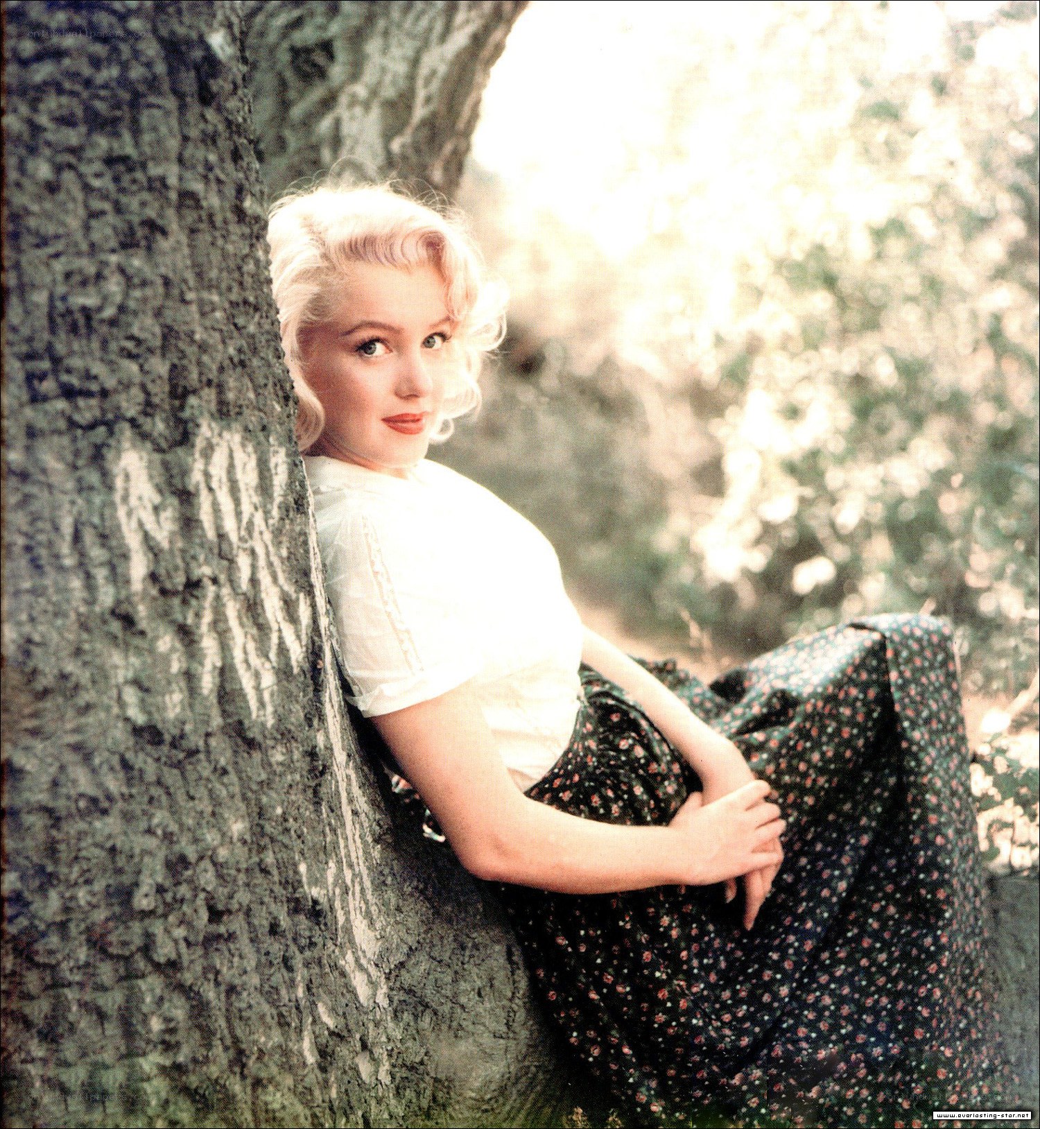 Marilyn Monroe by a tree