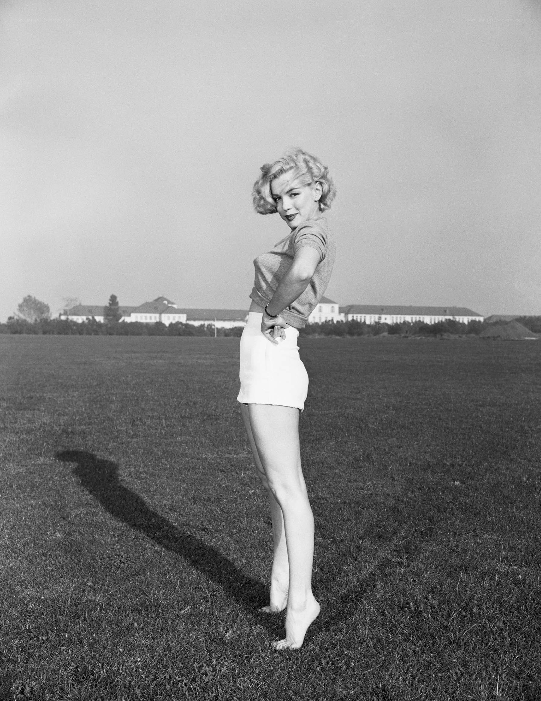 Marilyn Monroe in a field