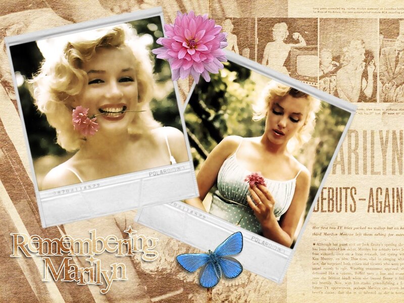Marilyn Monroe Photos — Brown