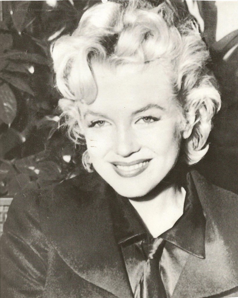 Marilyn Monroe portrait