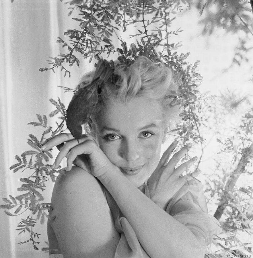 Marilyn Monroe with bird