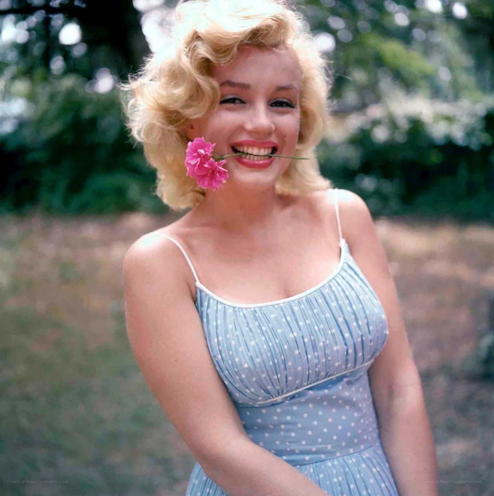 Marilyn Monroe with flower
