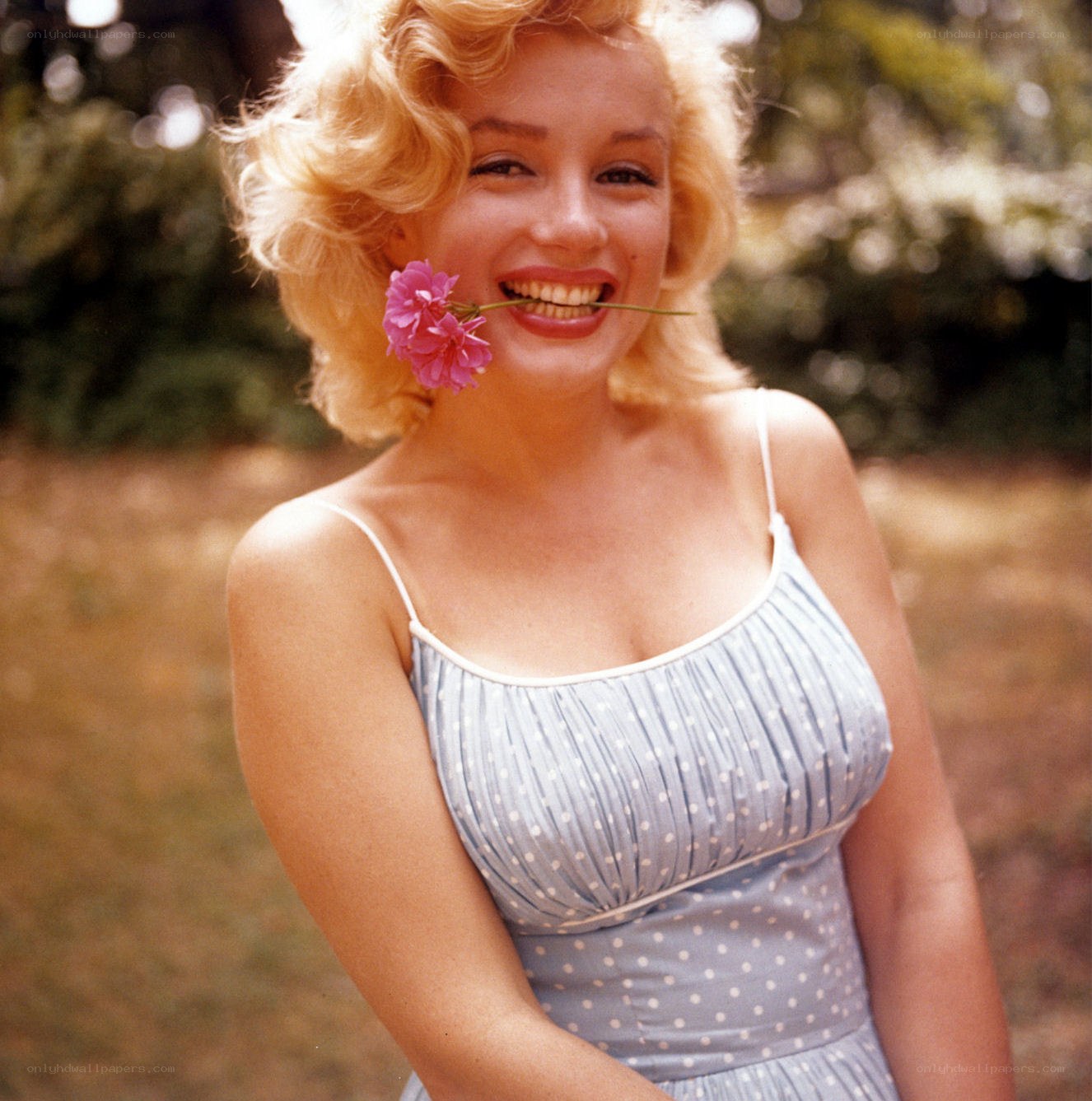 Marilyn Monroe with flower