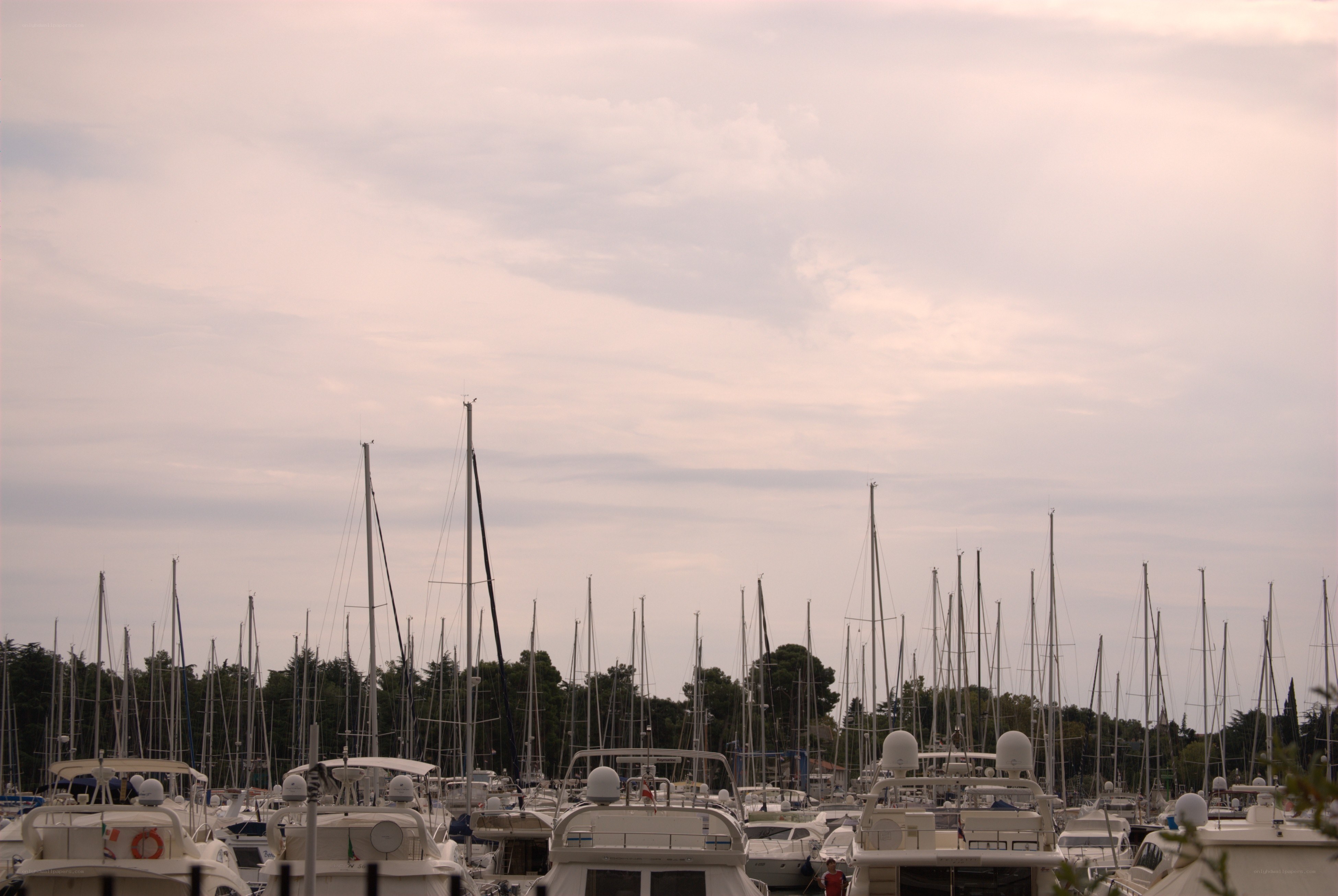 Marina at dusk with sailboats