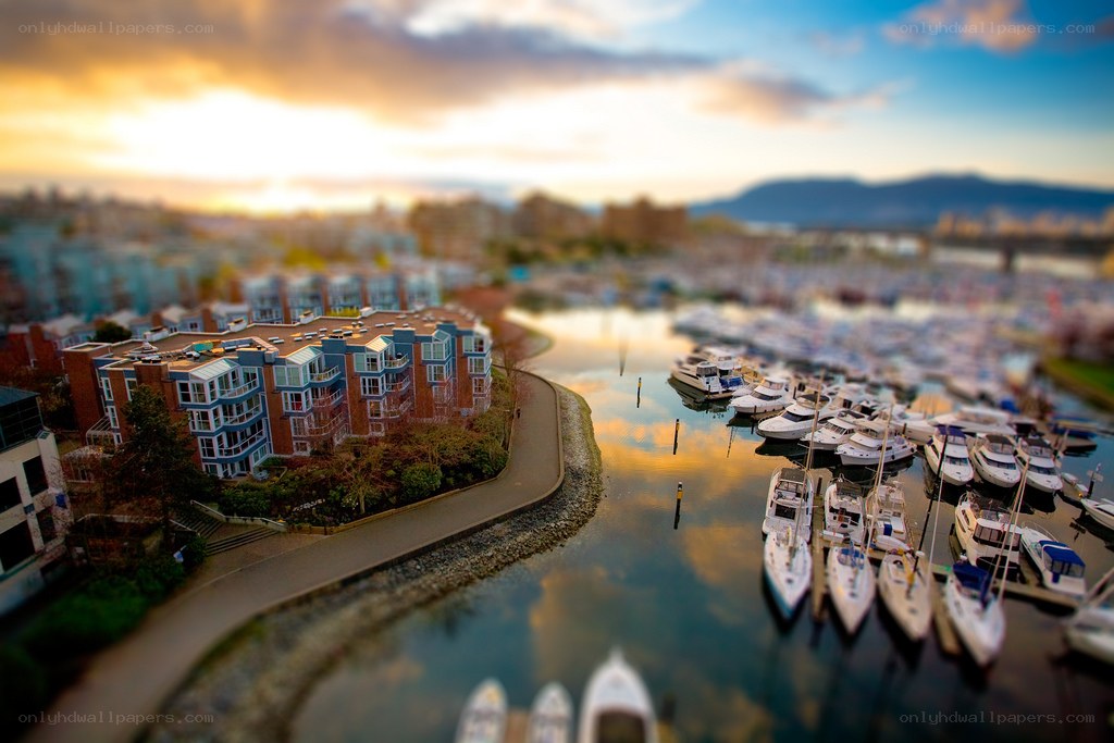 Marina at sunset with buildings