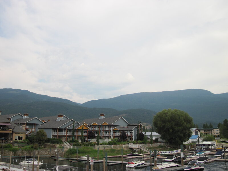 Marina with Boats and Buildings — Gray