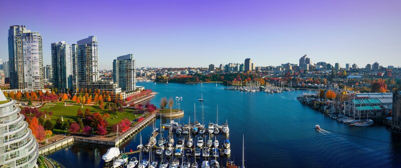 Marina with Boats and City