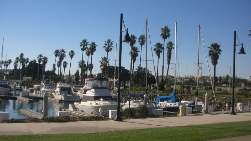 Marina with Boats and Palm Trees — Blue, Serene