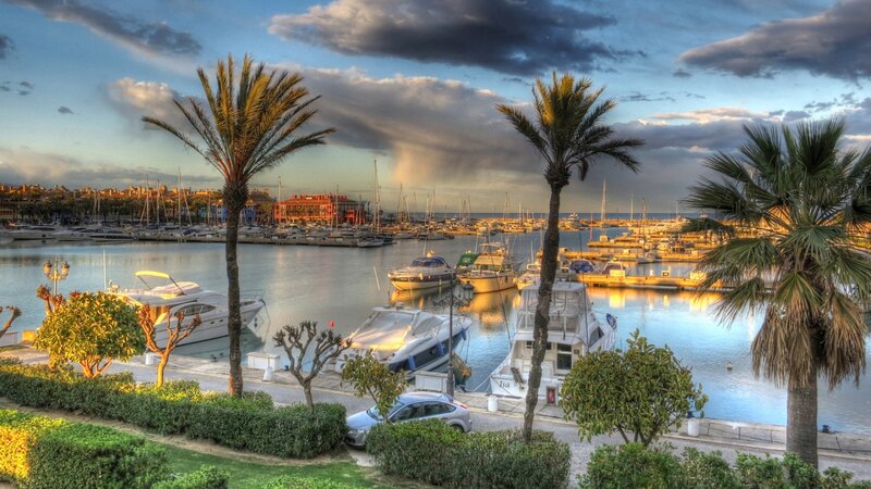 Marina with Boats and Palm Trees — Blue