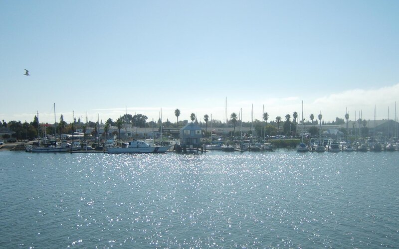 Marina with boats and palm trees