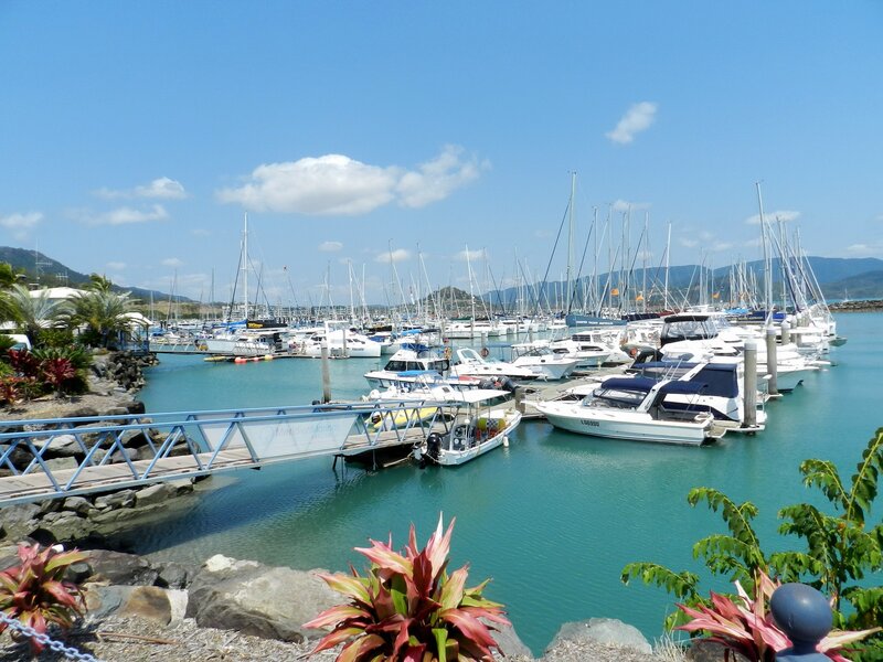 Marina with Boats — Blue, Serene, Afternoon, Photograph, Palm Trees