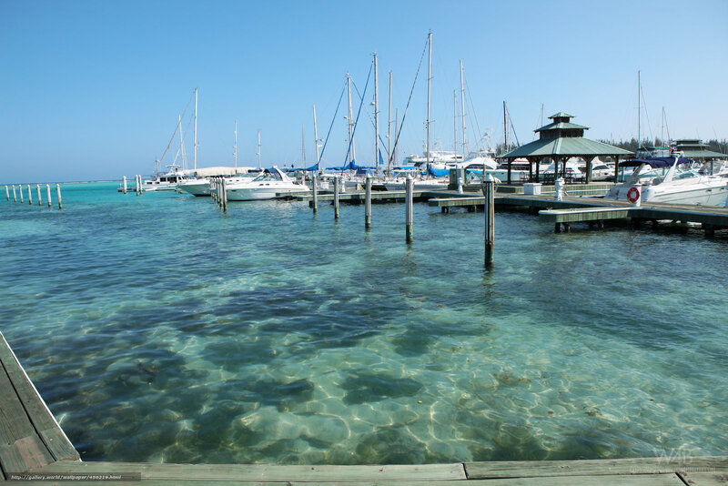 Marina with Boats — Blue, Serene, Afternoon, Photograph, Pier