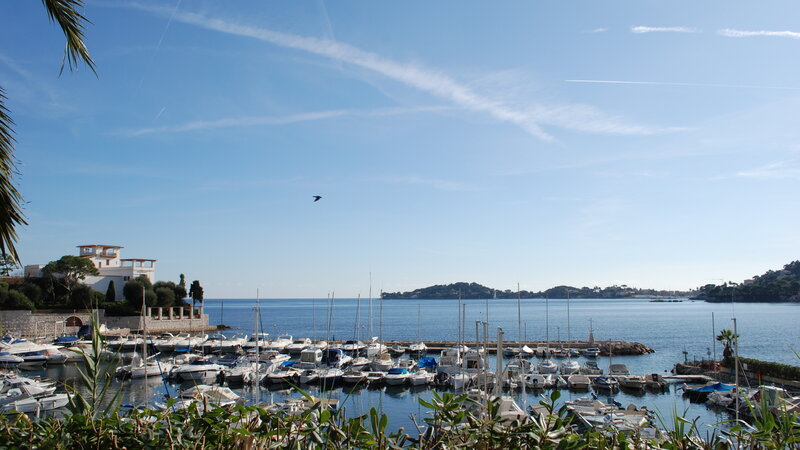 Marina with Boats — Blue, Serene, Afternoon, Photograph