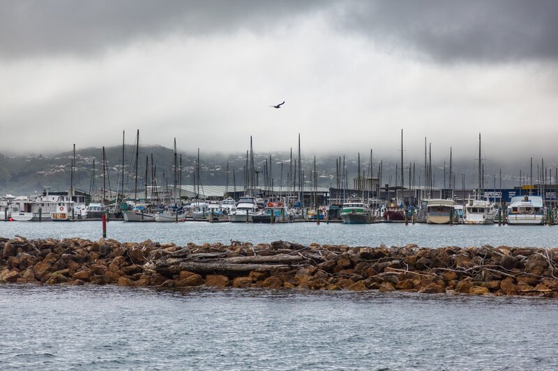Marina with Boats — Gray, Overcast
