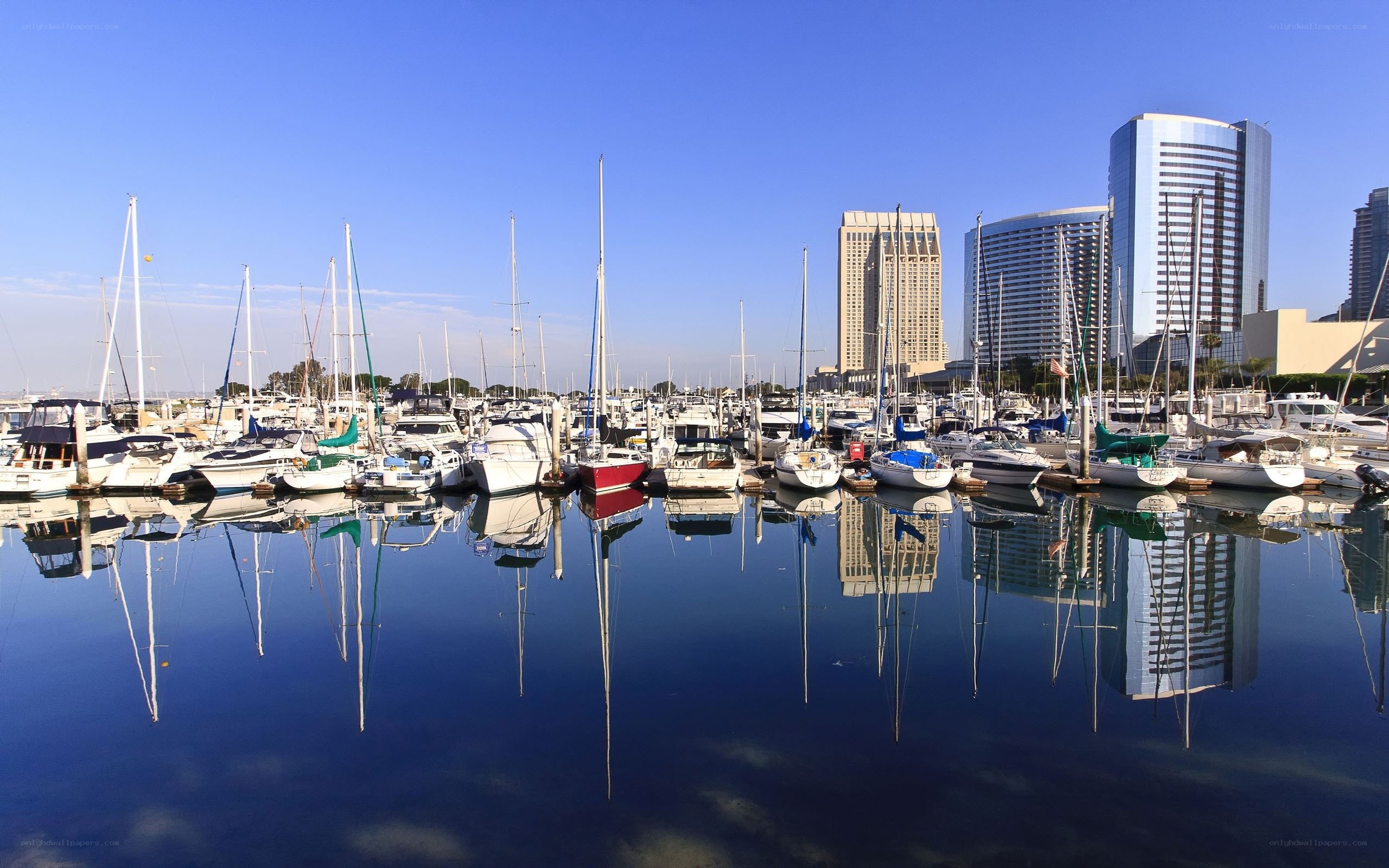 Marina with city skyline