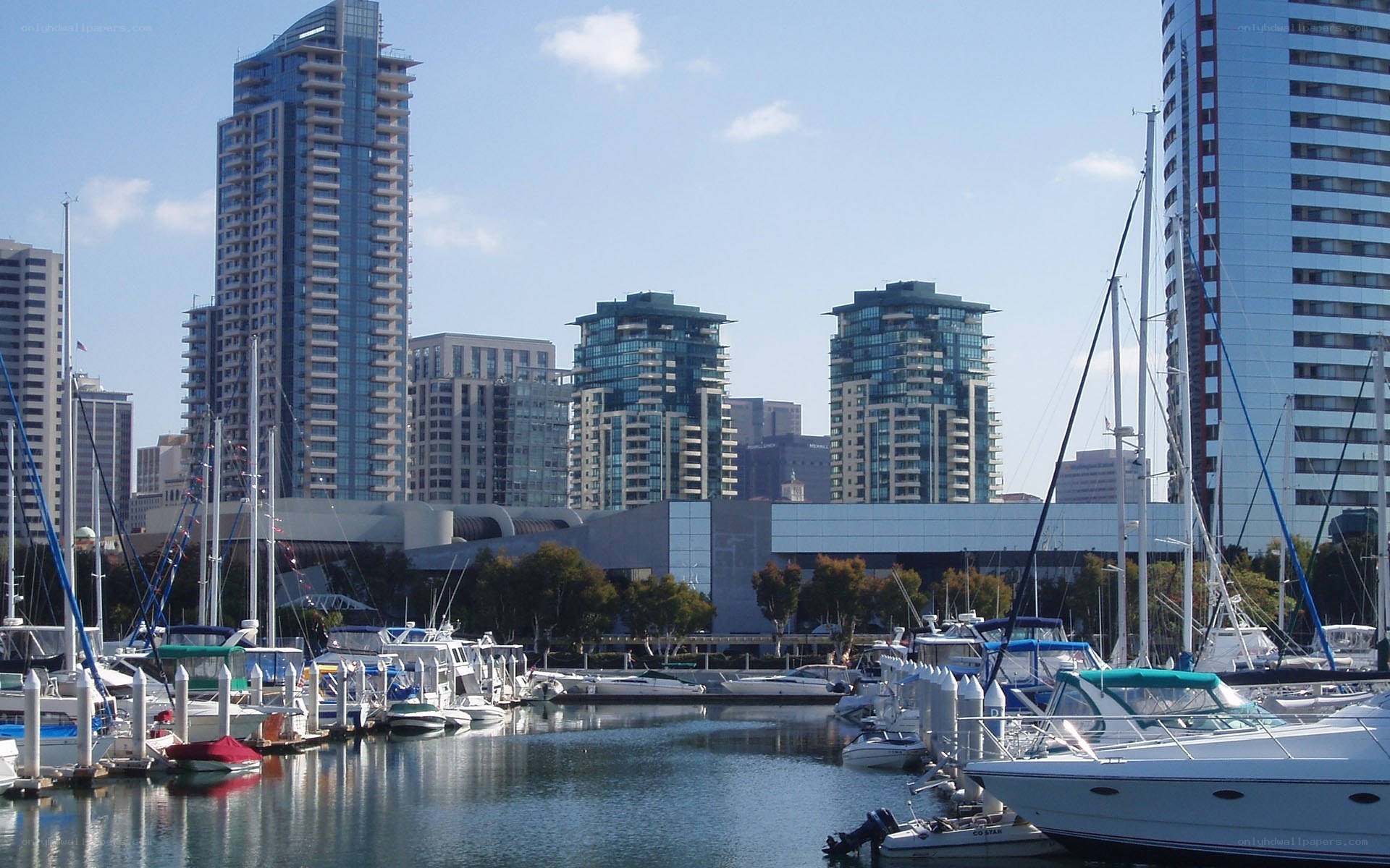 Marina with city skyline