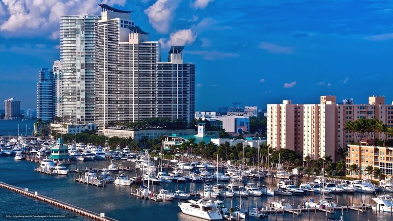 Marina with High-rise Buildings — Blue, Serene