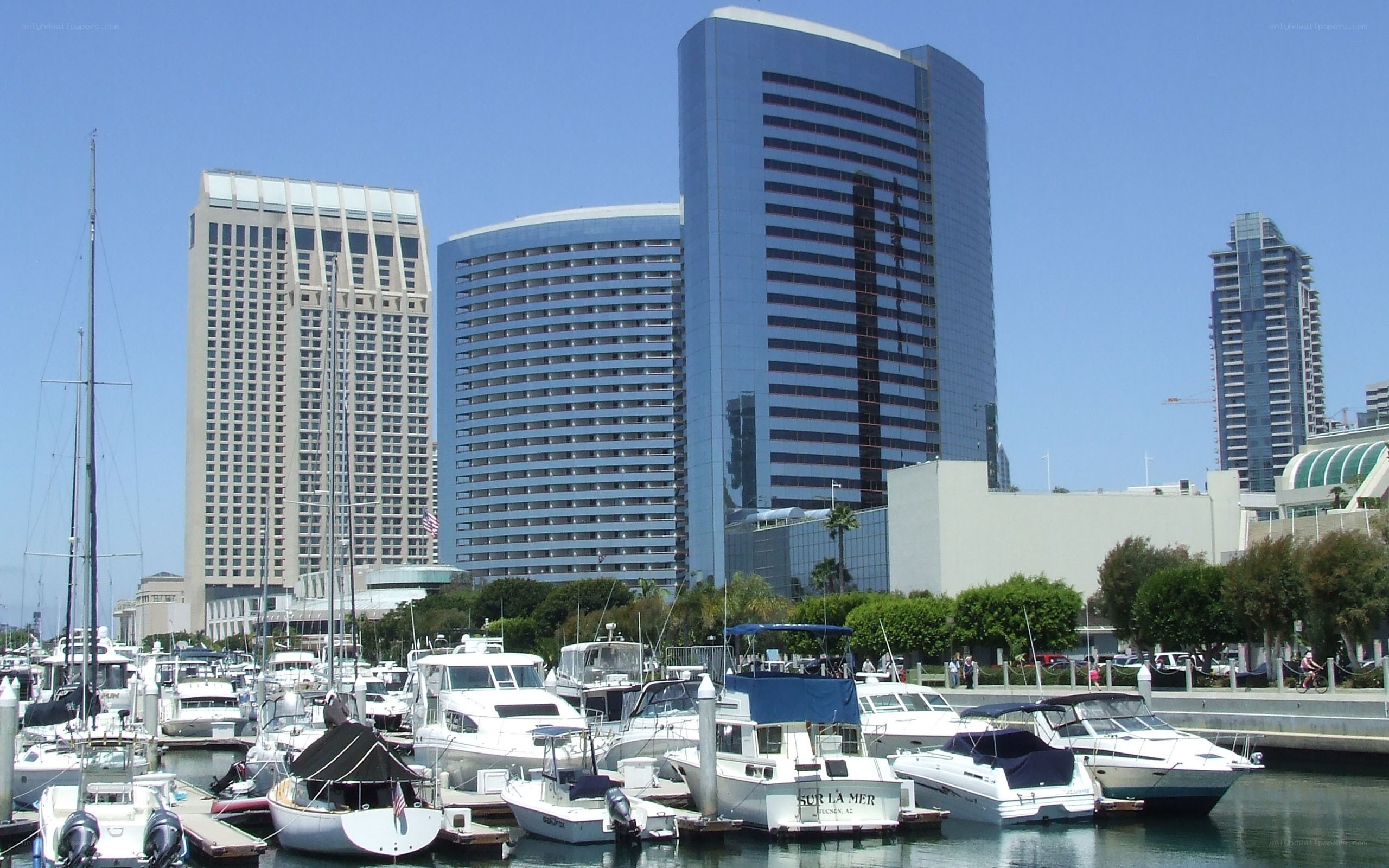 Marina with high-rise buildings