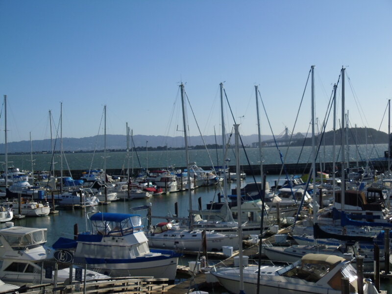 Marina with Sailboats — Blue