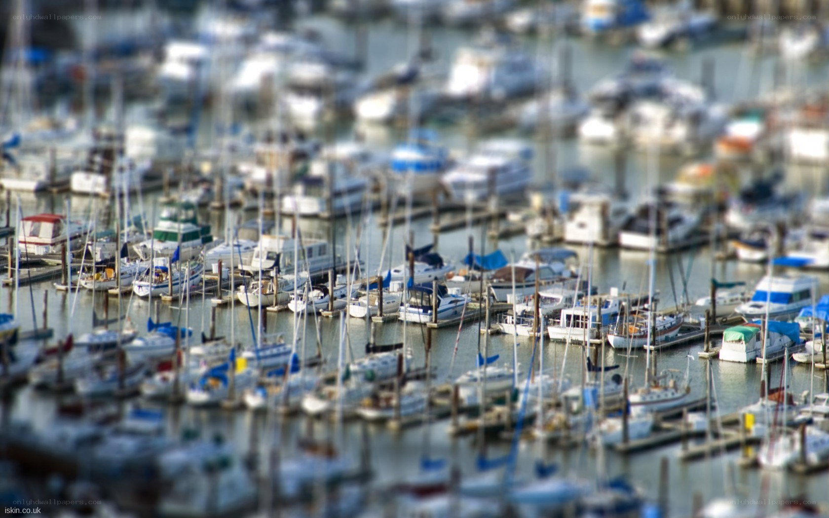 Marina with sailboats