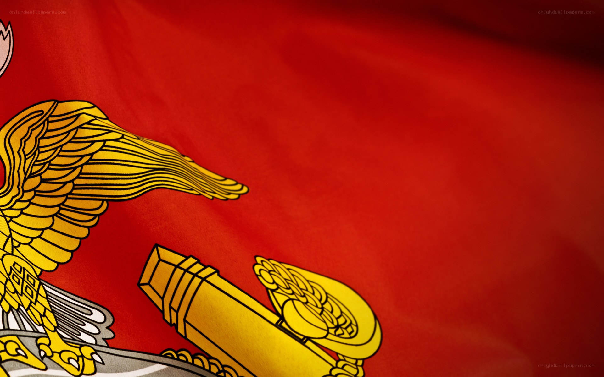 Marine Corps flag emblem