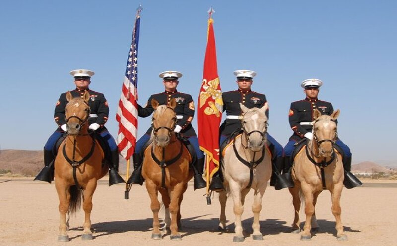 Marine Corps Horse Riders