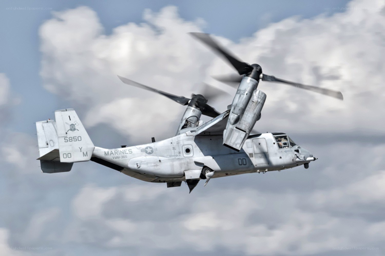 Marine Corps Osprey in flight