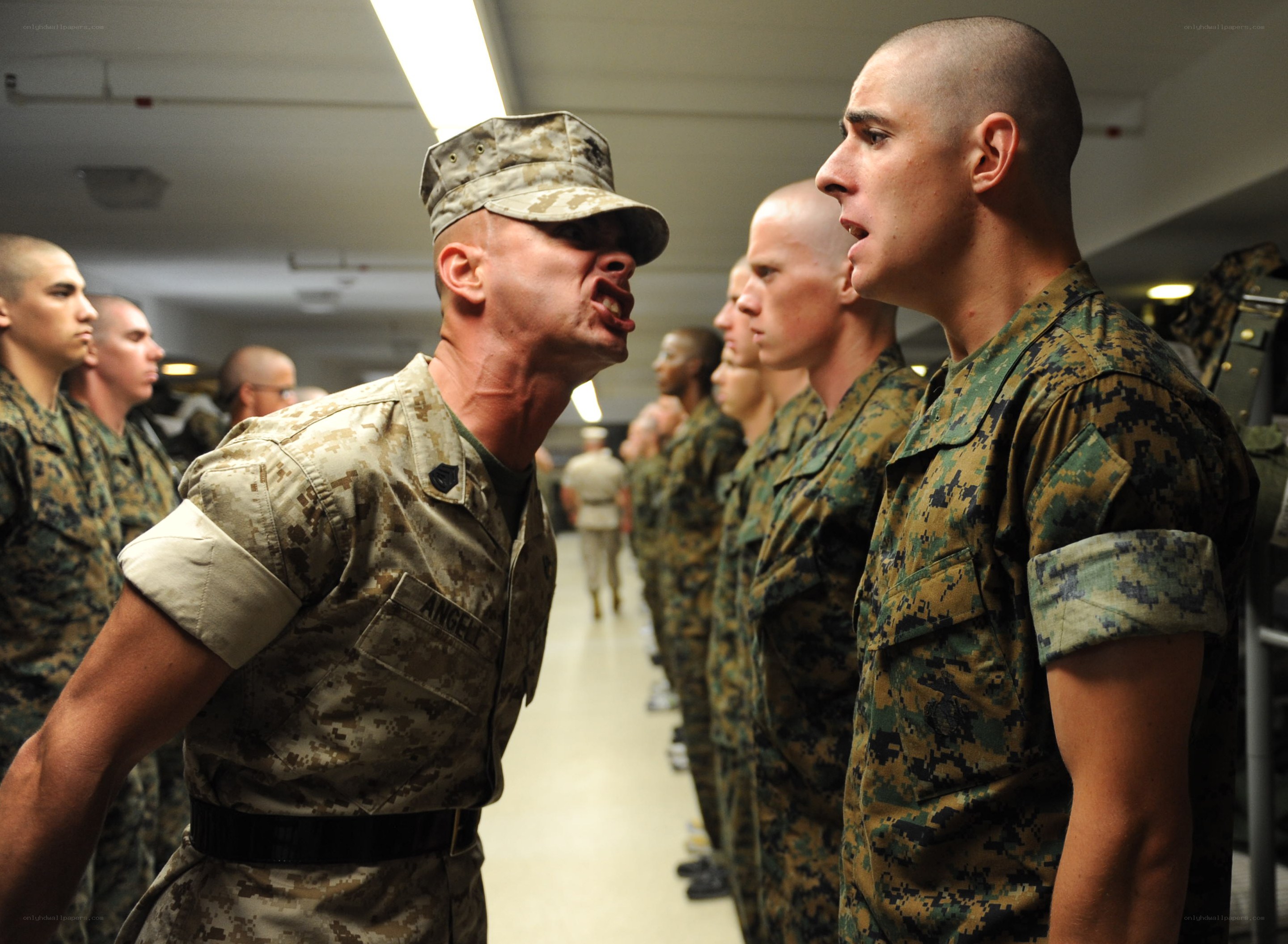 Marine drill instructor yelling