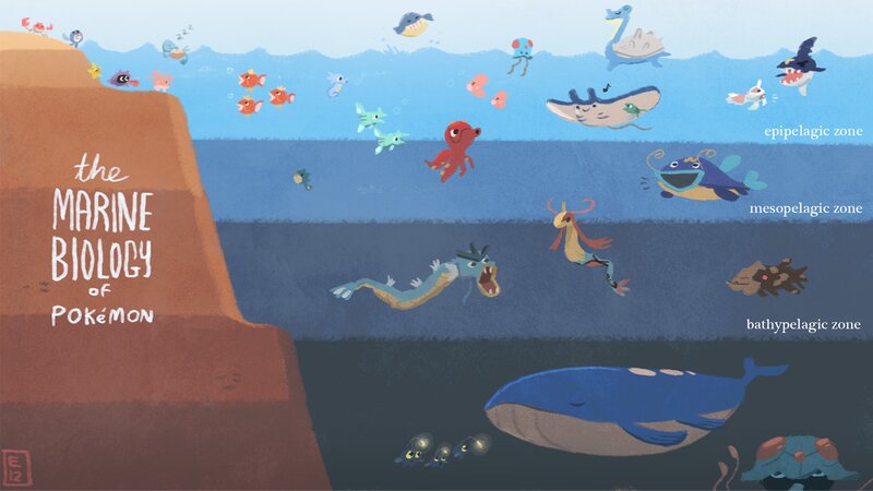 Marine Pokémon Illustration