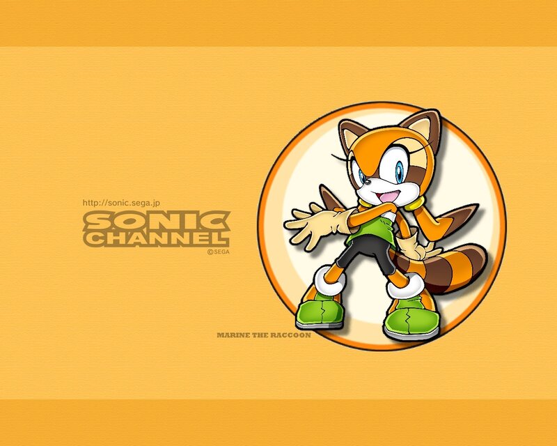 Marine the Raccoon