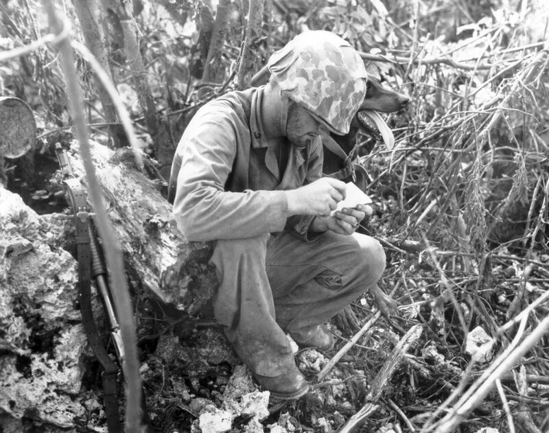 Marine with dog in jungle