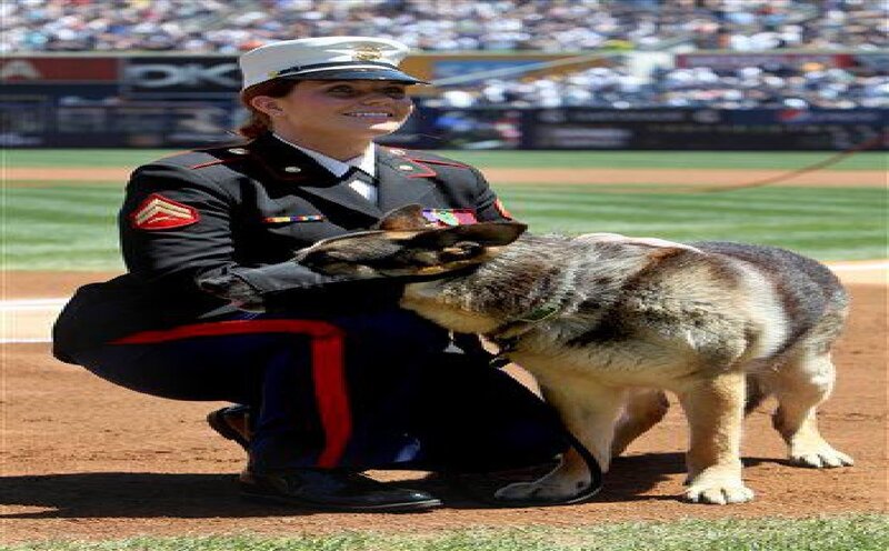 Marine with Military Dog