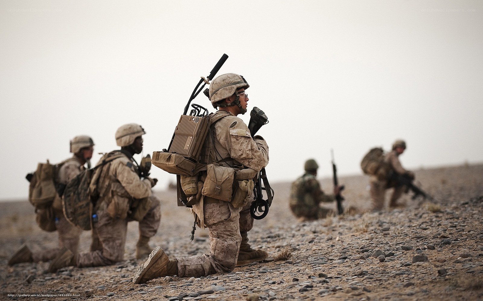 Marines in desert patrol
