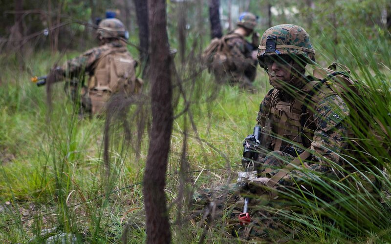 Marines in forest training