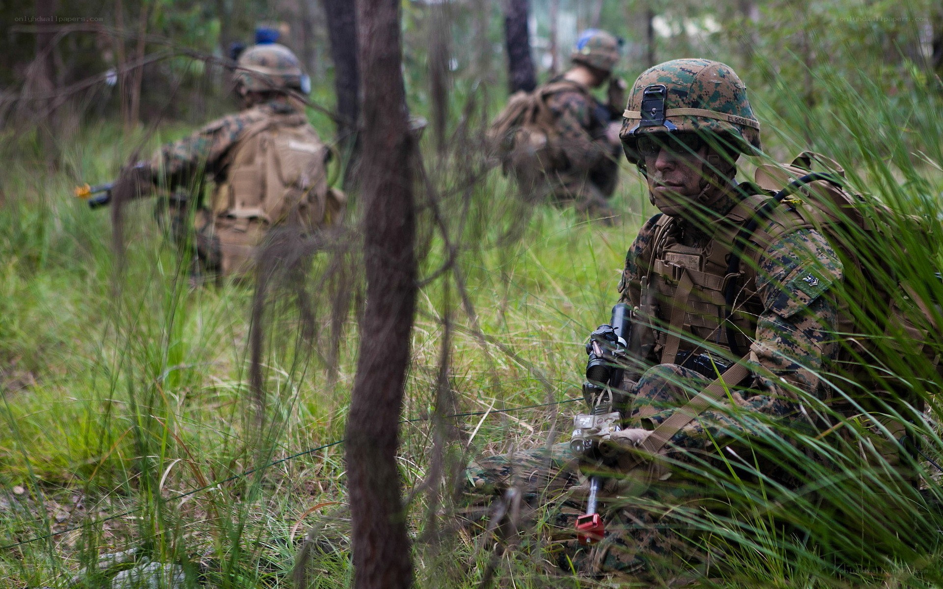 Marines in forest training