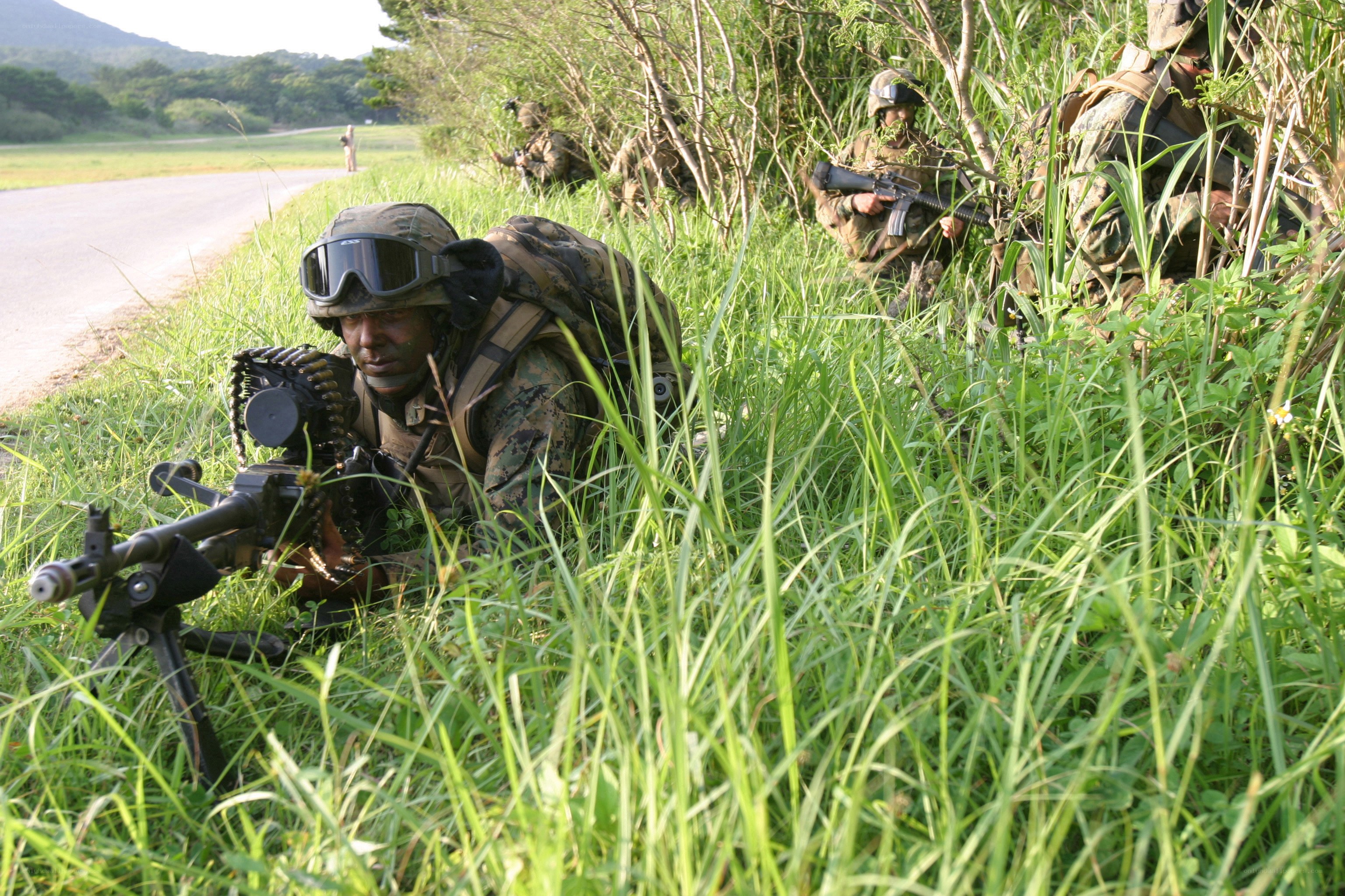 Marines in grassy ambush