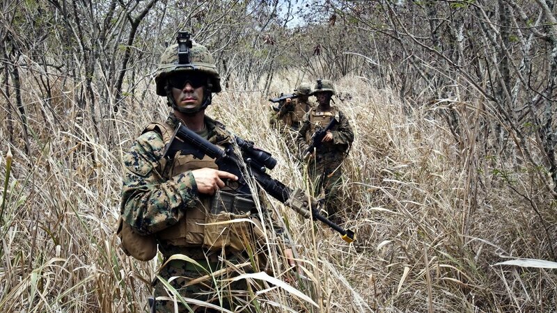 Marines in jungle terrain