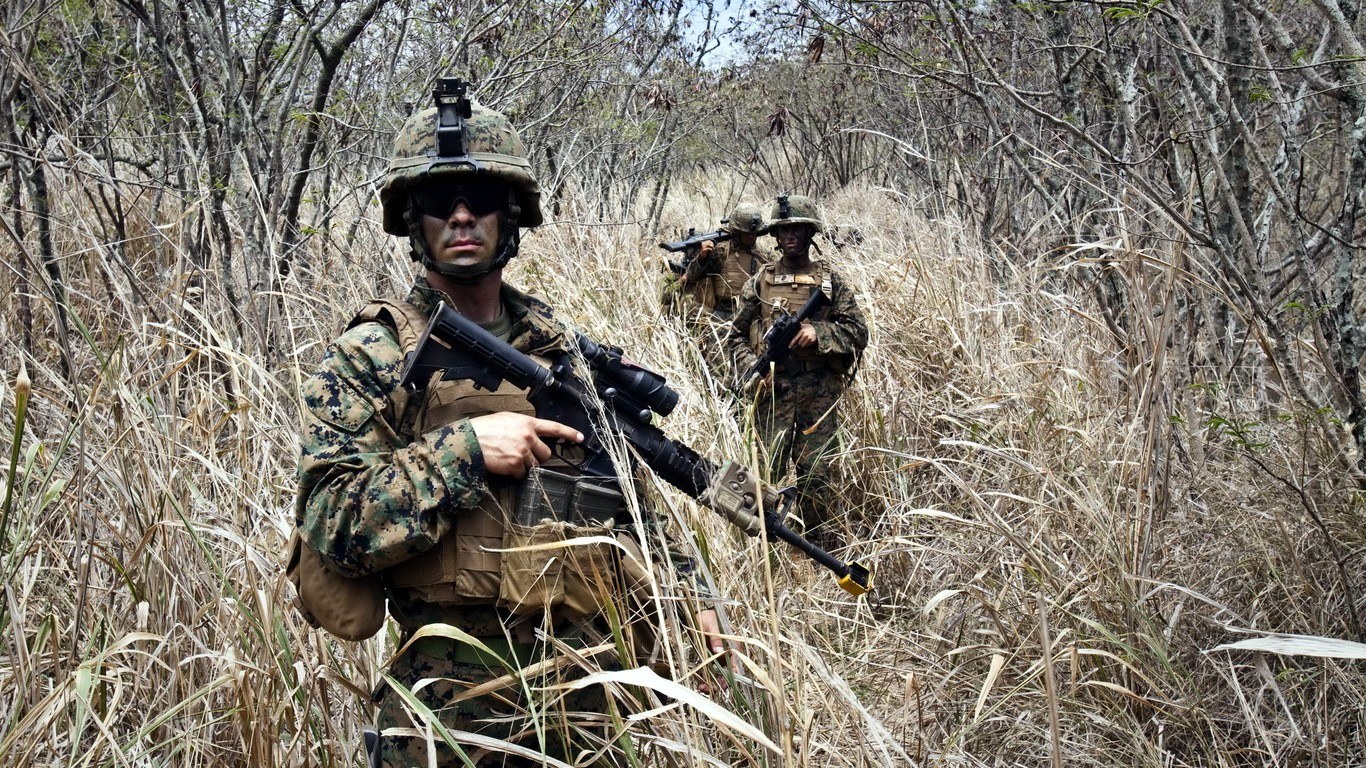 Marines in jungle terrain