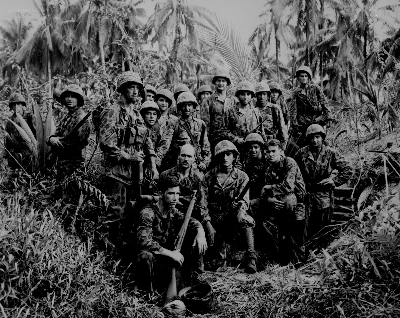 Marines in jungle terrain