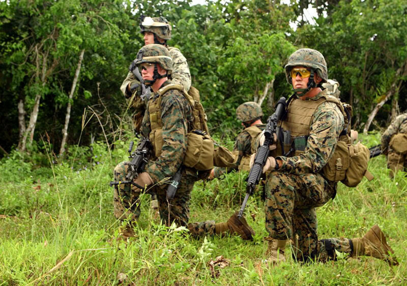 Marines in jungle training