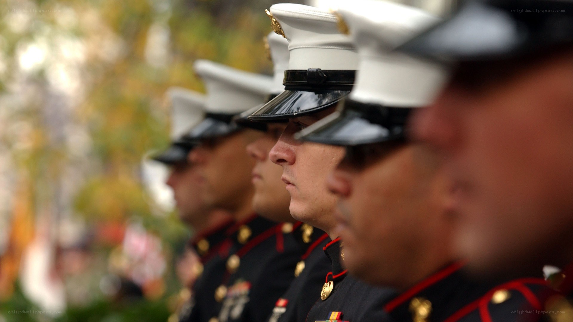 Marines in uniform line