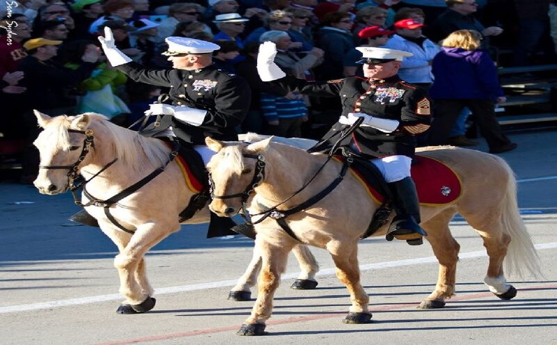 Marines on Horses — White