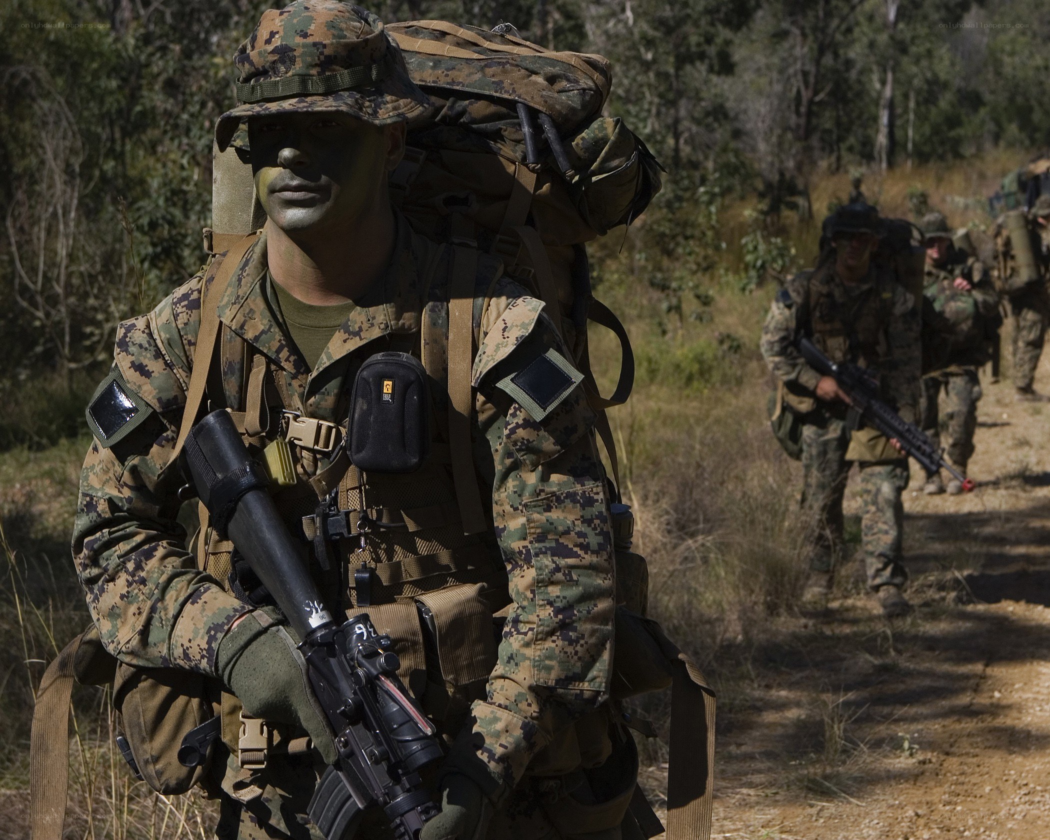 Marines on patrol in forest