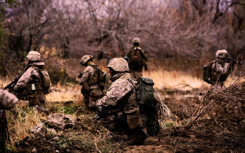 Marines on patrol in wooded area