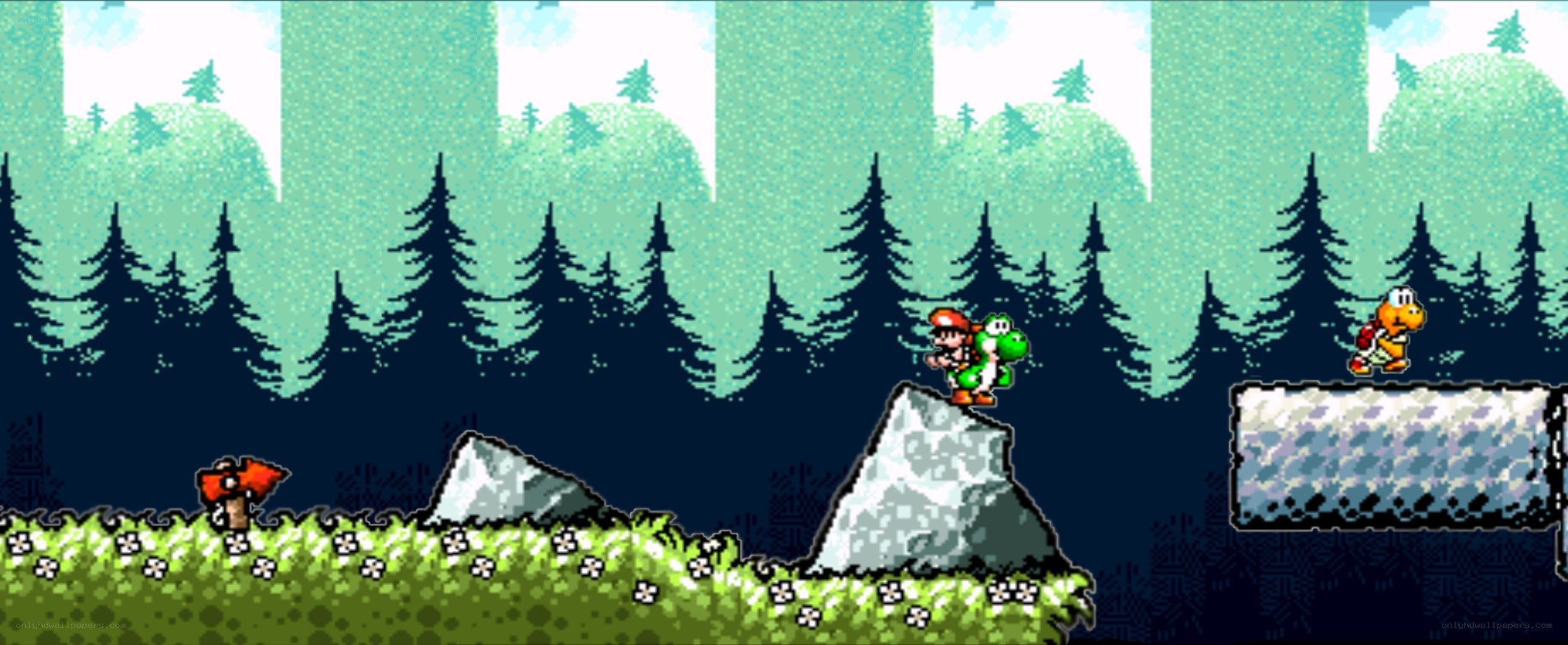 Mario and Yoshi in a forest level