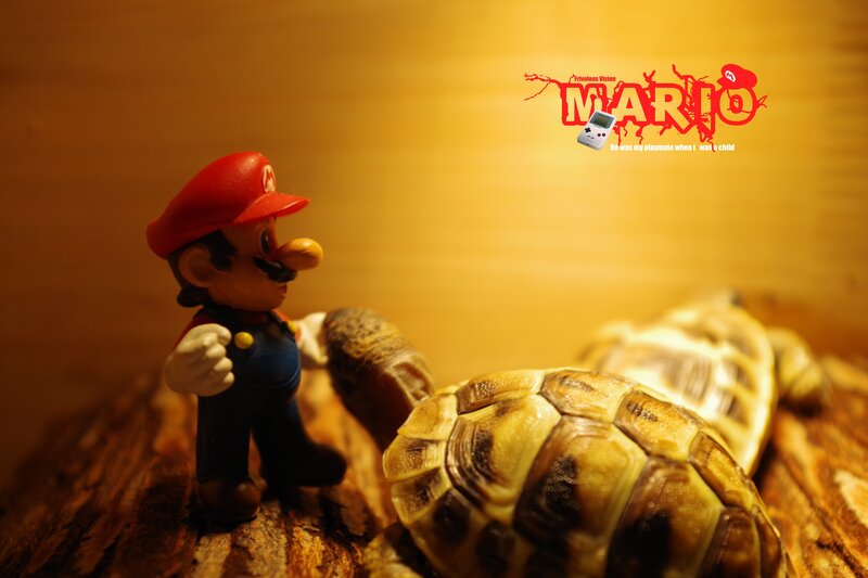 Mario Figurine with Turtle