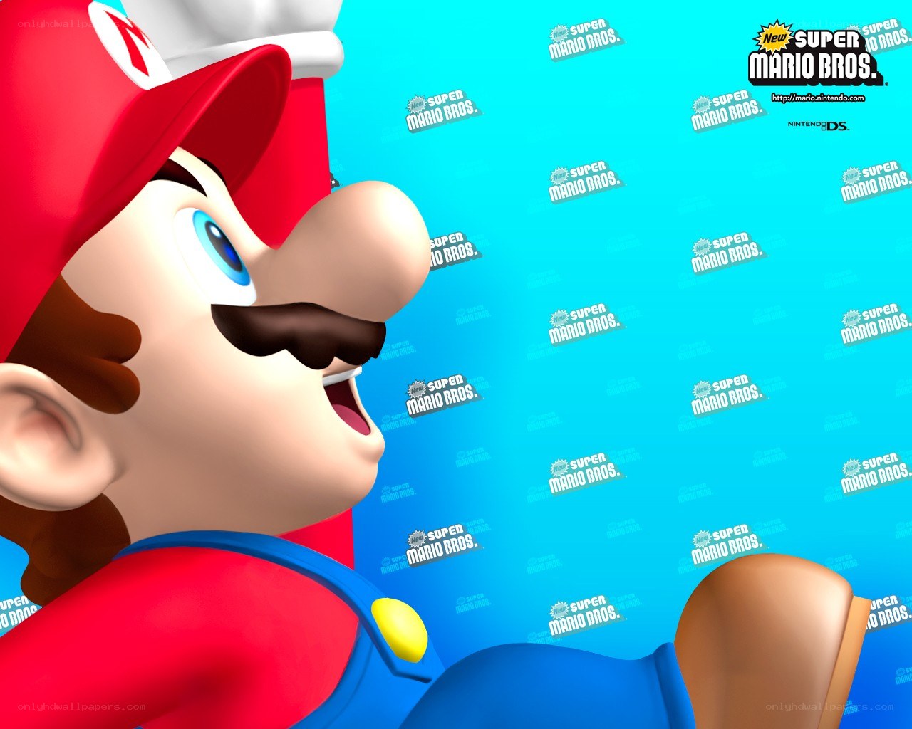 Mario from New Super Mario Bros.