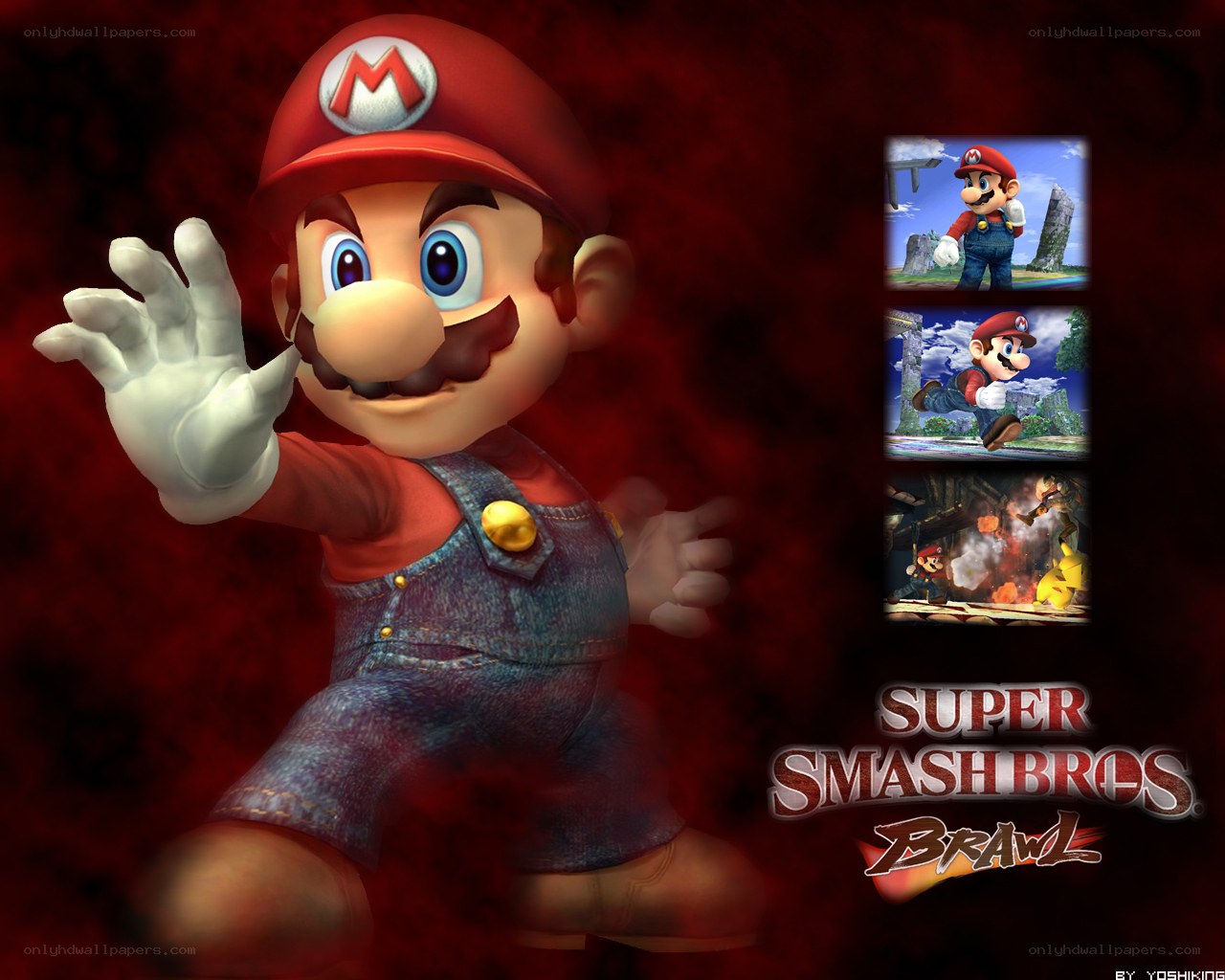 Mario from Super Smash Bros Brawl