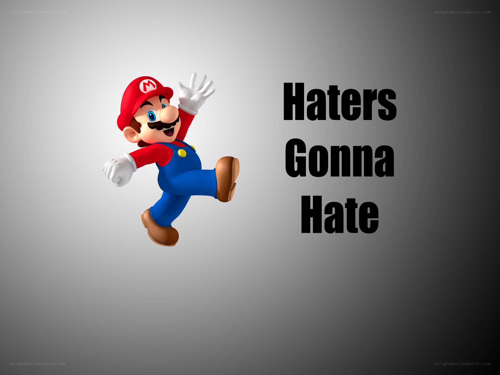 Mario Haters Gonna Hate