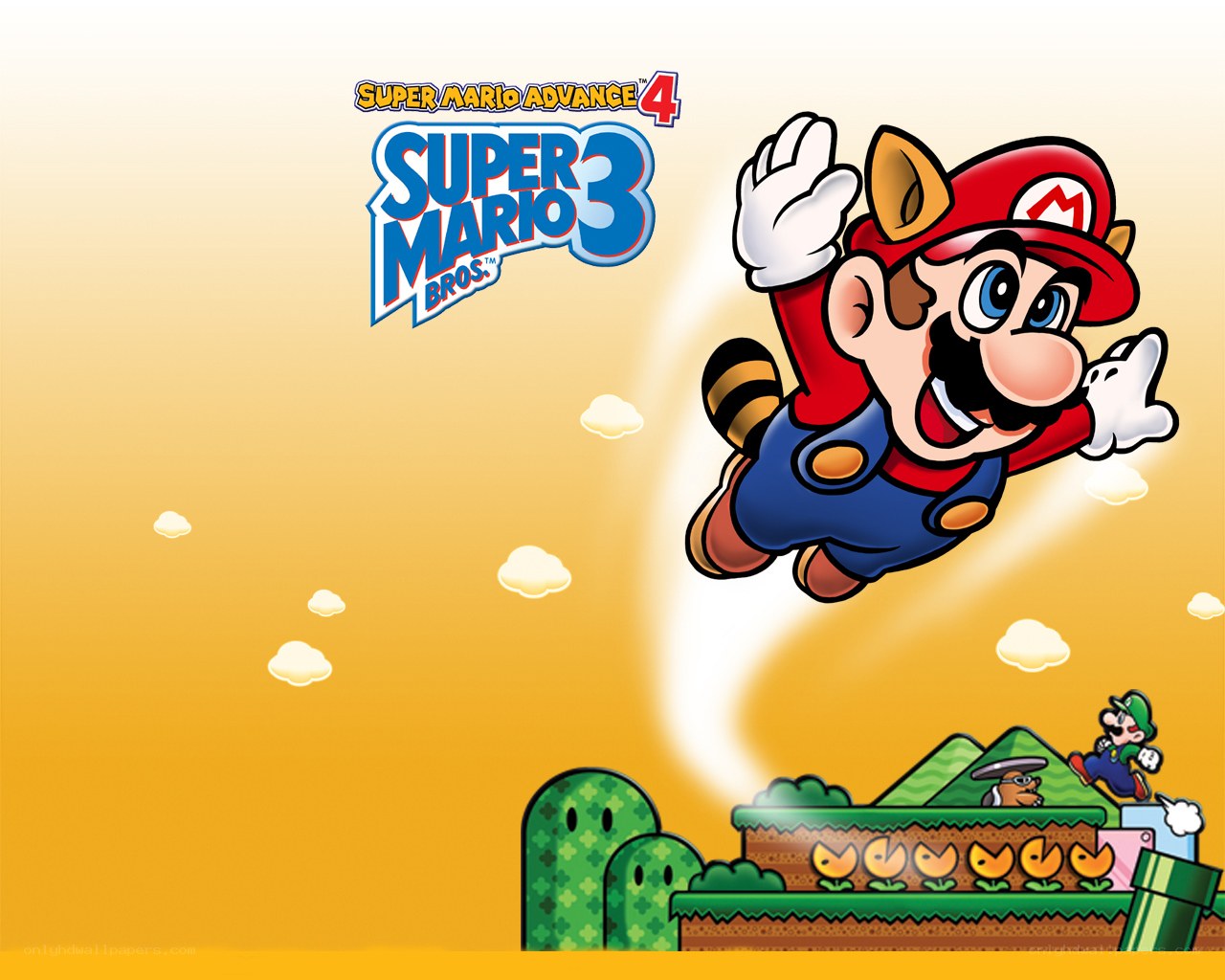 Mario in Super Mario Advance 4
